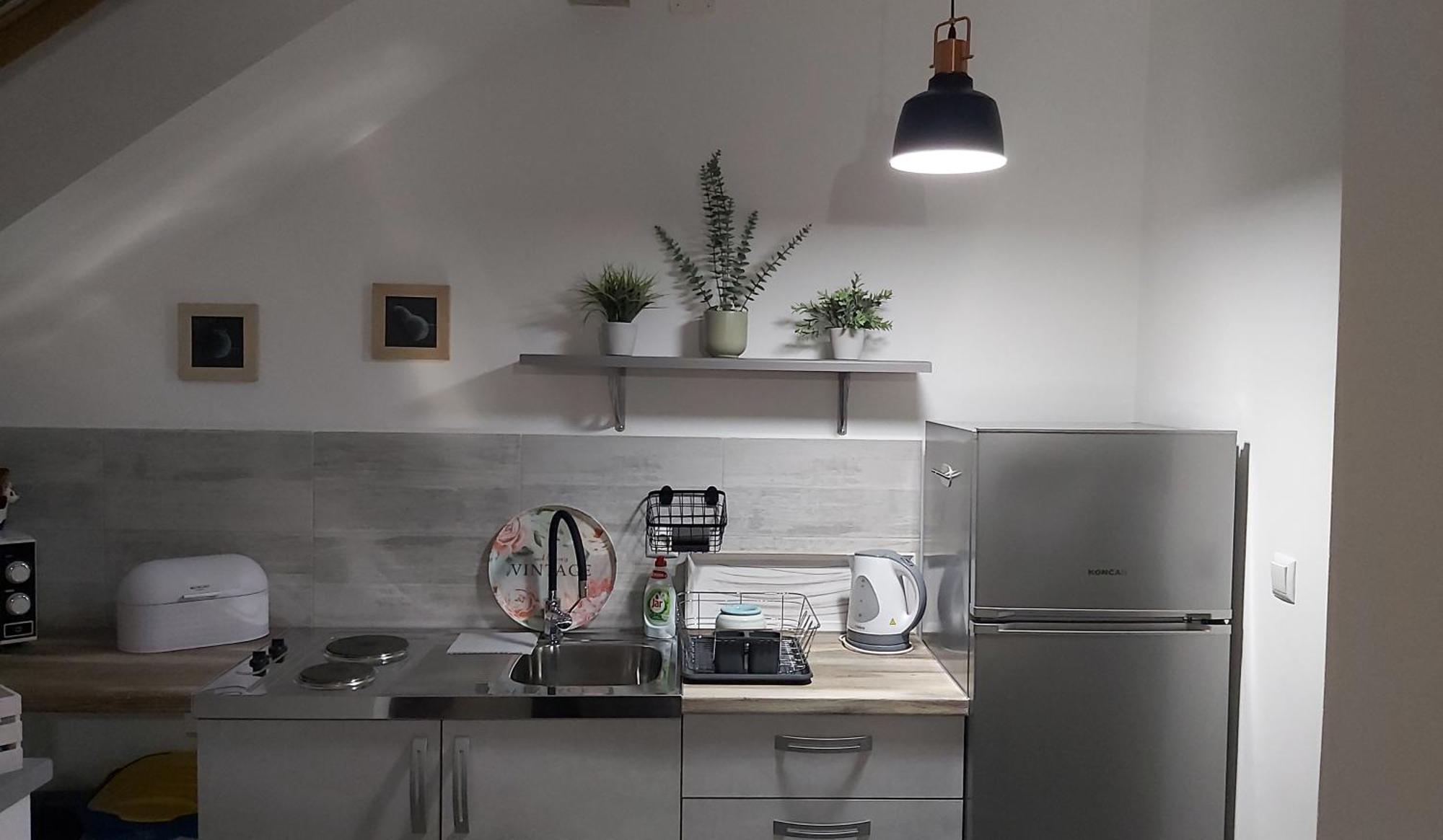 Studio Apartman Grizzly สลูน ภายนอก รูปภาพ