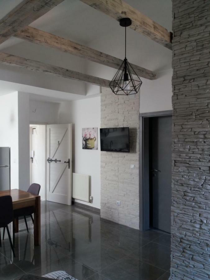 Studio Apartman Grizzly สลูน ภายนอก รูปภาพ